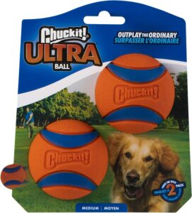 Image of a Chuckit! Ball, a high-quality and durable ball that is perfect for playing fetch with dogs. This ball is designed to bounce higher and further, making it a fun and challenging toy for your furry friend, like Tony's dog Carl. The Chuckit! Ball is a must-have for dog lovers in 2023.