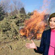 Featured image for the post, "Kim Reynolds' Cannabis Policies: A Laughable Failure (That Isn't Funny)"