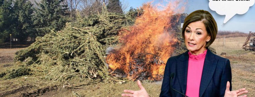 Featured image for the post, "Kim Reynolds' Cannabis Policies: A Laughable Failure (That Isn't Funny)"