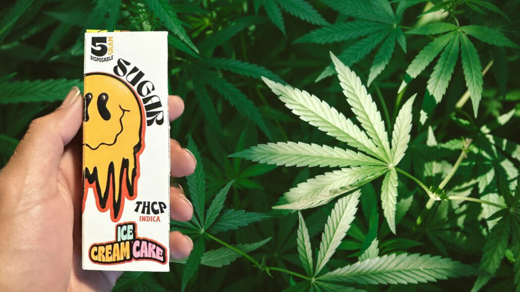 Banner image for the post, "Sugar THC-P Disposable 5G Review: It's Time to Get Lifted, My Friends!" featuring my hand holding the product box against a bacground of Cannabis leaves.