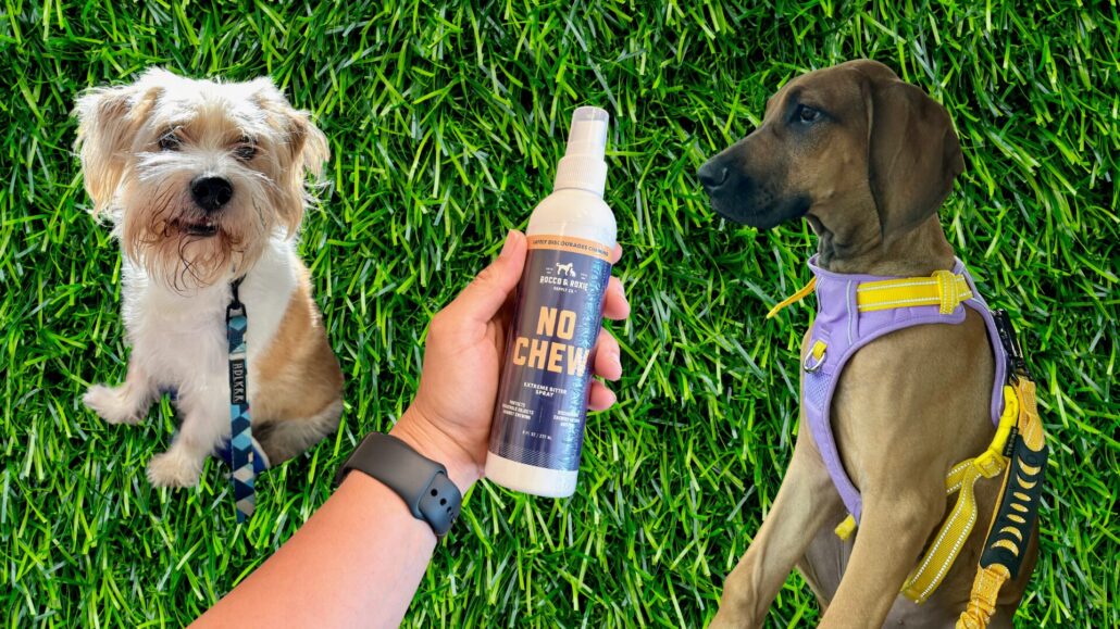 rocco roxie no chew extreme bitter review hero