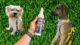 rocco roxie no chew extreme bitter review hero
