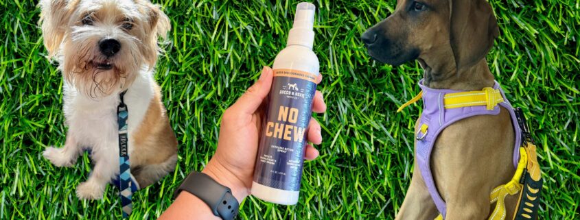 rocco roxie no chew extreme bitter review hero