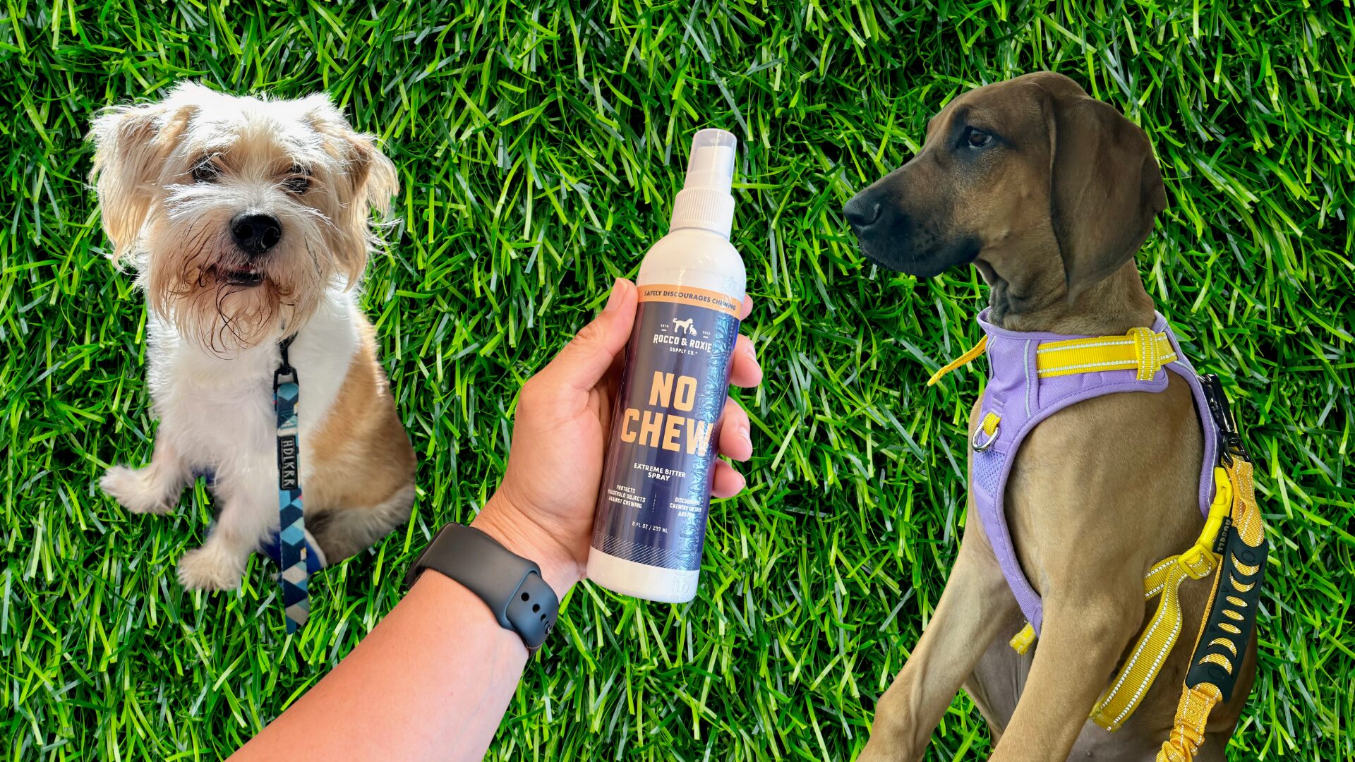 rocco roxie no chew extreme bitter review hero