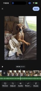 Screenshot of the new Google Photos video editor on iOS, showing a video of a brown dog on the universal timeline with a separate green audio waveform track below it.