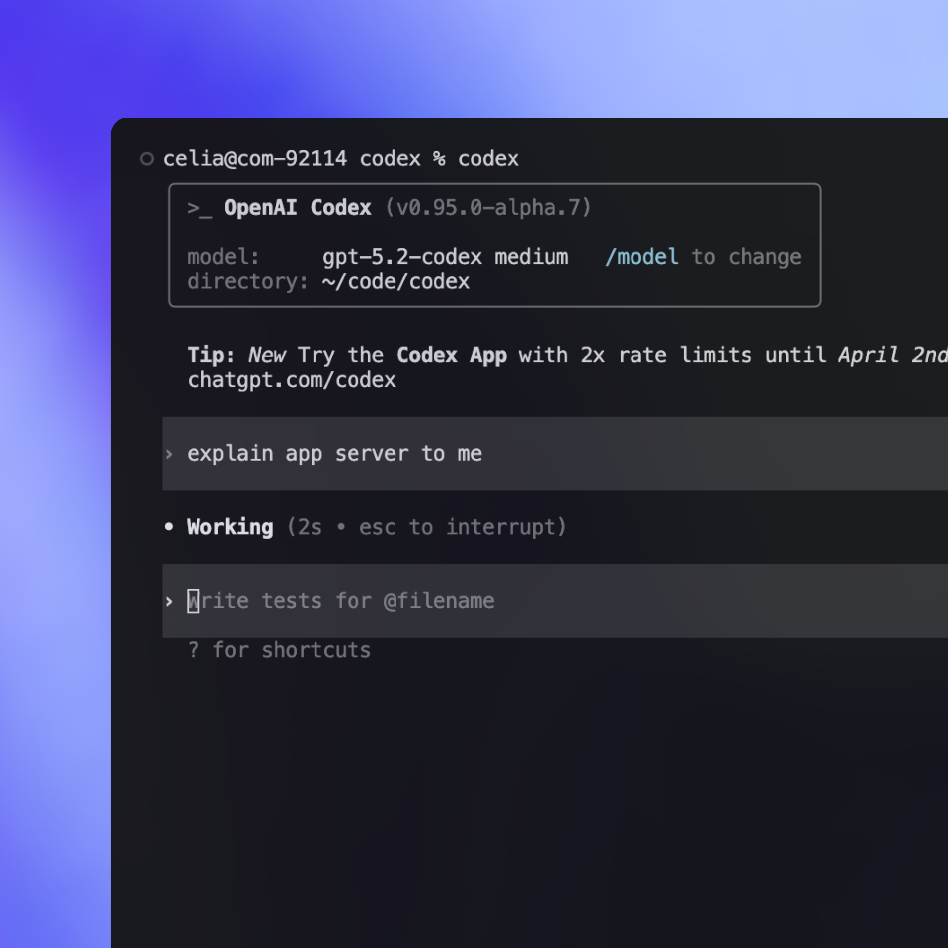 Official OpenAI Codex CLI running in a terminal with the Codex model and working status visible.